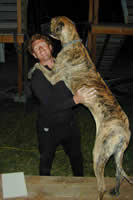 Man and Dog